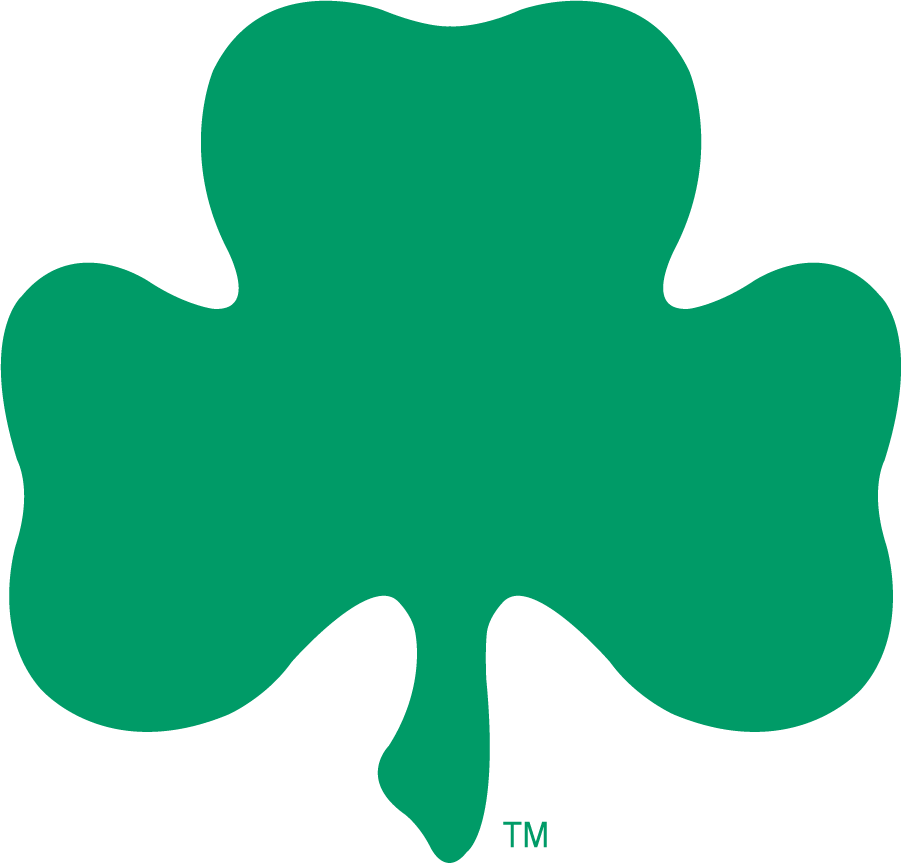 Notre Dame Fighting Irish 1994-2006 Secondary Logo diy DTF decal sticker